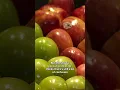Circling back with businesses after restoration of SNAP benefits to CT families
