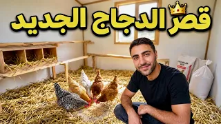 اشتريت دفعة جديدة من الدجاج… وحوّلت غرفة بسيطة إلى بيت إلهن! 😳🐔🏡