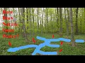 Starting A Forest Garden Step One Foundation