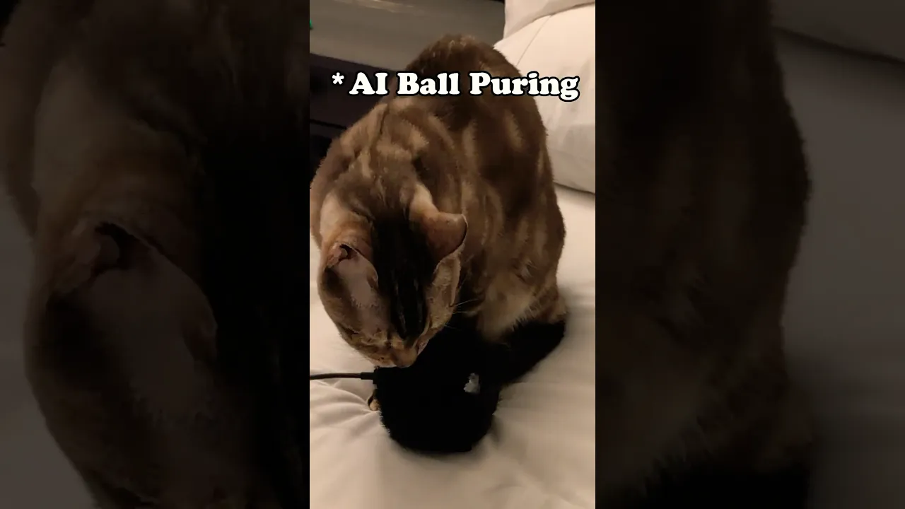 My Cat Loves AI Slop