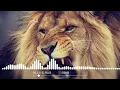 ALEX & RUS ДИКАЯ ЛЬВИЦА Music version HD mp3