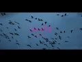 GLAY / BAD APPLE (Teaser)