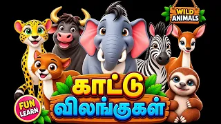 Wild Animals Names in Tamil & English | காட்டு விலங்குகளின் பெயர்கள் |Learn Animals for Kids
