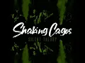 Silent Theory (Shaking Cages)