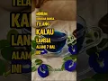 Download Lagu Minum Rebusan Bunga Telang Kalau Lansia Alami 7 Hal Ini!