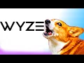 Wyze Doorbell Sounds for dogs