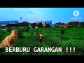Lagu Berburu garangan dan biawak !!!