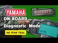 Yamaha Grizzly ECU Diagnostic Mode Full Walkthrough