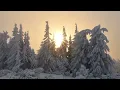 Download Lagu Это сборник красивой инструментальной спокойной музыки для души, Музыка Сергей Грищук