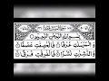 Download Lagu Surah Al-Mursalat Full By Sheikh Mishary Rashid Al Afasy