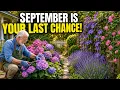 September Is Your LAST Chance to Prune These 7 Plants Before You Ruin Next Year s Blooms