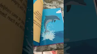 Round the world sailing book for children!