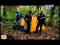 Download Lagu Jejak Jejak Misterius Trans 7 - 13 April 2015 - Misteri Ular Raksasa Berlumut Gunung Jaya Part 1