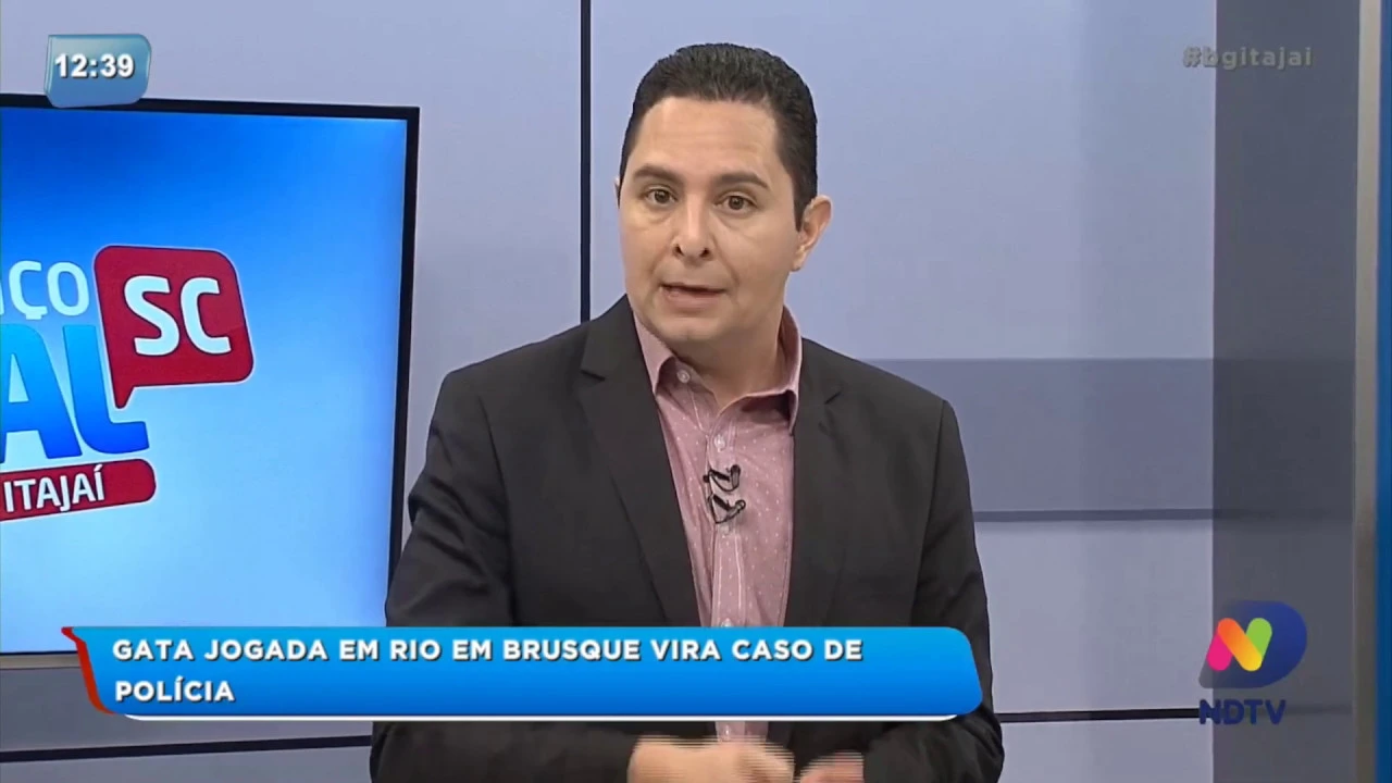 Gata jogada em rio em Brusque vira caso de polícia