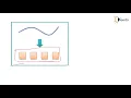 Binning - Data Preprocessing
