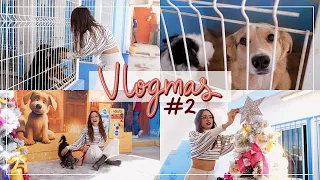 ¡VAMOS A VER PERRITOS A UN ALBERGUE! #Vlogmas | @AnaVbon