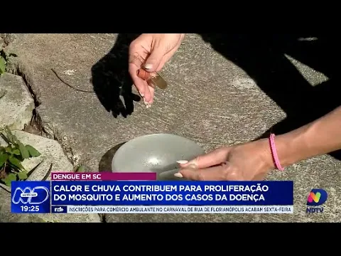 Alerta de epidemia: Ministério da Saúde prepara-se para pico de dengue em SC