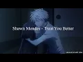 Download Lagu Shawn Mendes - Treat You Better ( slowed + reverb )