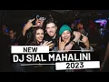 Download Lagu Dj Sial 2023 - Jungle Dutch Remix - Req Junior Anwar