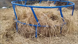 Reply to our Hay Ring Yes or No