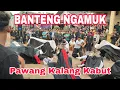 Lagu ANGKERNYA BANTENG NGAMUK NDADI MASSAL SATRIA MACAN KUMBANG LIVE WEWE GONDANG
