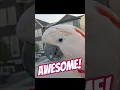 I m awesome Yes Max we agree