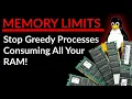 Protecting Memory From Greedy Processes In Linux