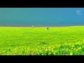 Experience the Warmth and Tranquility of Spring in China’s Winter