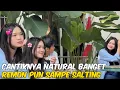 Download Lagu INI MAH CANTIK NATURAL.