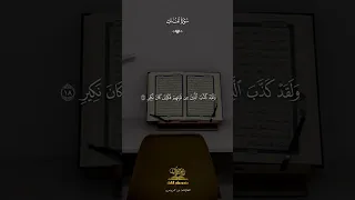 سوره الملك كامله بصوت القارئه نور محروس  دندنها