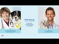 Veterinary Interventional Cardiology Dr Maureen Mueller and Dr Justin Allen
