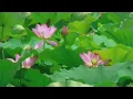 Your Prosperity Key Meditation CD - Trailer