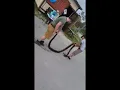 Florida python challenge 2021 turning in the catch 13 feet 8- inches 58 lbs female