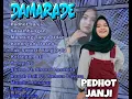Download Lagu DAMARA DE FULL ALBUM TERBARU 2024 - PEDHOT JANJI, SESAMBUNGAN, MENDUNG TANPO UDAN