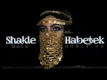 Hamada Nashawaty - Shakle Habetek / Bass [DAMLA PR] Arapça / TikTok
