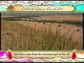 Download Lagu Surah Ya Sin - Beautiful Recitation and Visualization of The Holy Quran