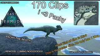 Road to Growth Cap on my favourite Dino PACHY Beasts of Bermuda