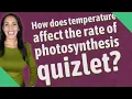 How does temperature affect the rate of photosynthesis quizlet