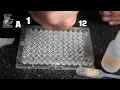 Lab Ksp of Calcium Hydroxide Calcium Phosphate SCH4U Grade 12 Chemistry Ontario Curriculum