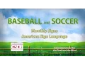Signs of the Month - Baseball Soccer