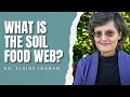 What is the Soil Food Web Dr Elaine Ingham Soil Biology