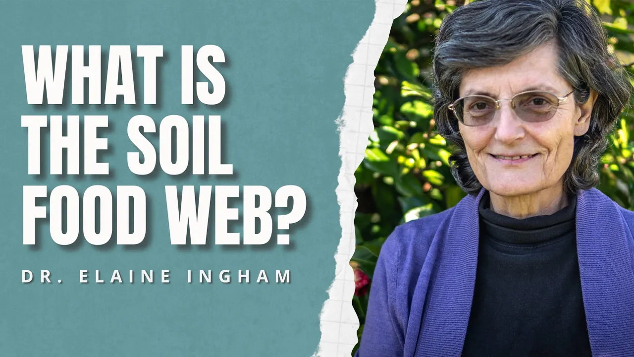What is the Soil Food Web? | Dr. Elaine Ingham | Soil Biology