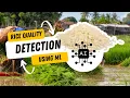 Rice Quality Detection using Machine Learning AI Project