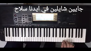 جايين شايلين في ايدنا سلاح بيانو كوردات               دندنها