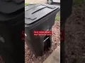 Gang stalkers try to intimidate you the moment you walk out of your house