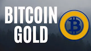 Download WHAT IS BITCOIN GOLD BTG BASICS AND ANAYSIS MP3