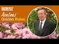 Caring for azaleas Golden Rules