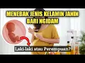 Download Lagu NGIDAM MANIS VS NGIDAM ASIN? Bisa Prediksi Jenis Kelamin Janin !?