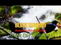 Download Lagu MASTERAN KOLIBRI BLACKSUNBIRD FULL MATERI JUARA | KOLIBRI BLACK SUNBIRD GACOR BUKA PARUH | CLEOSCAPE