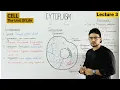 Cytoplasm Structure and function 3